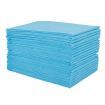 Pack of 40PCs 60 cm x 120 cm Puppy Training Pads for Puppies & Indoor Dogs