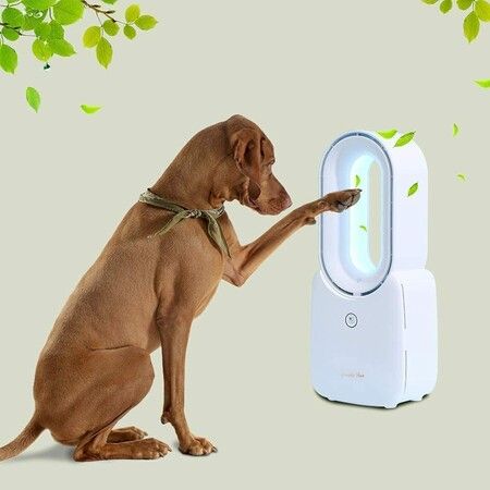 https://img.crazysales.com.au/products_pictures/348/348520_3066157_F.jpg
