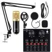 Livestream Mic Podcast Microphone Bundle with Sound Card, Adjustable Shock Mount, and Gold Finish