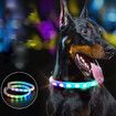 11-Color LED USB Rechargeable Dog Collar Flashing Necklace with Night Safety Glowing Light, Anti-Lost Harnesses