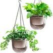 2-Pack 6.5 Inch Self-Watering Hanging Planters with 3 Hooks, Drainage Holes for Indoor and Outdoor Use (Grey)