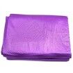 5m Anti-gravity Aerial Yoga Hammock Kit for Fitness with Low Non-Stretch Nylon Fabric and Hardware - Perfect for Dance (Purple)
