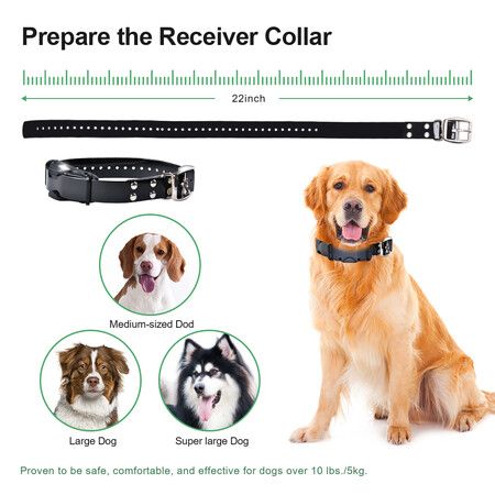 https://img.crazysales.com.au/products_pictures/348/348969_3084539_F.jpg