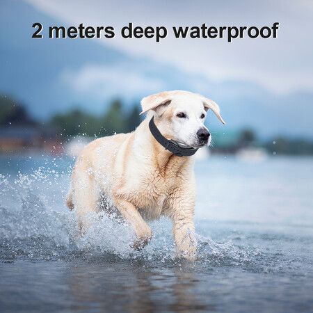 https://img.crazysales.com.au/products_pictures/348/348969_3084556_F.jpg