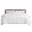Dreamz Renewable Fiber Quilt Soft 200GSM Queen