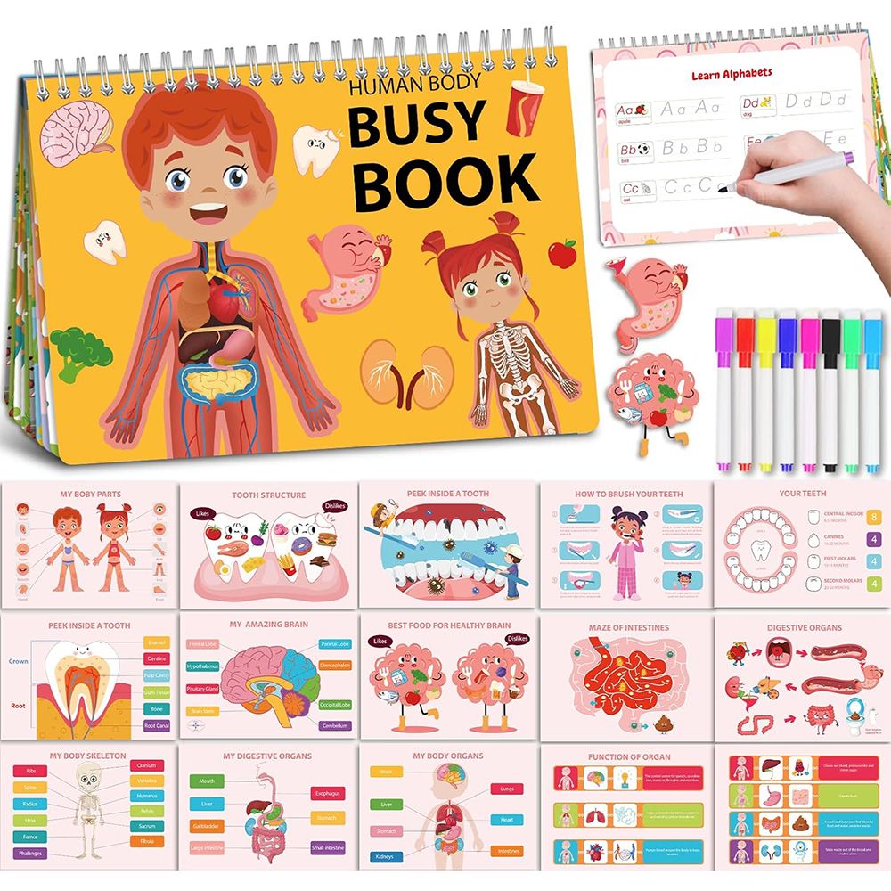 Human Body Preschool Busy Book 30 Pages Quiet Book, Montessori Learning Toys for Toddlers 3-5, Learning Activities Coloring Sticker Book
