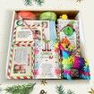 Elf Kit 24 Days of Christmas,Christmas Elf Kit,elf on The Shelf,Christmas Activities,Best Christmas Countdown Gift (24 Days)