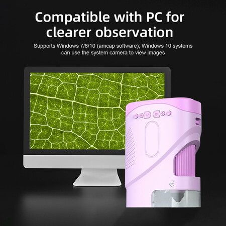 https://img.crazysales.com.au/products_pictures/350/350164_3091292_F.jpg