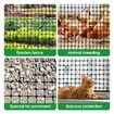 Plastic Mesh Barrier Garden Net 80mx1.2m Animal Chicken Wire Fence Dog Enclosure Protection Temporary Construction Fencing