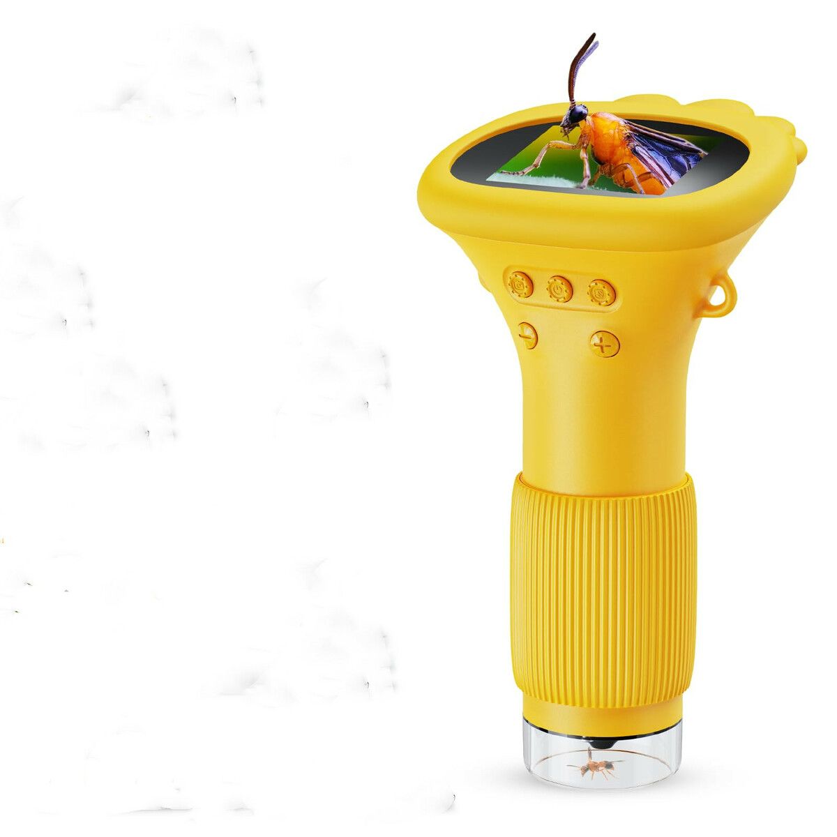https://img.crazysales.com.au/products_pictures/351/351178_3101931_F.jpg