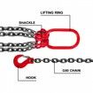 4 Legs Lifting Hook Chain Sling 2Mx8MM 4T Lifting Chain Sling Legs Steel Factories Steel Powder Coating Lifting Chain High Temperature Resistance