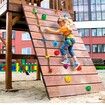 32 Rock Climbing Holds Climbing Rocks with Colored Climbing Rope Hardware
