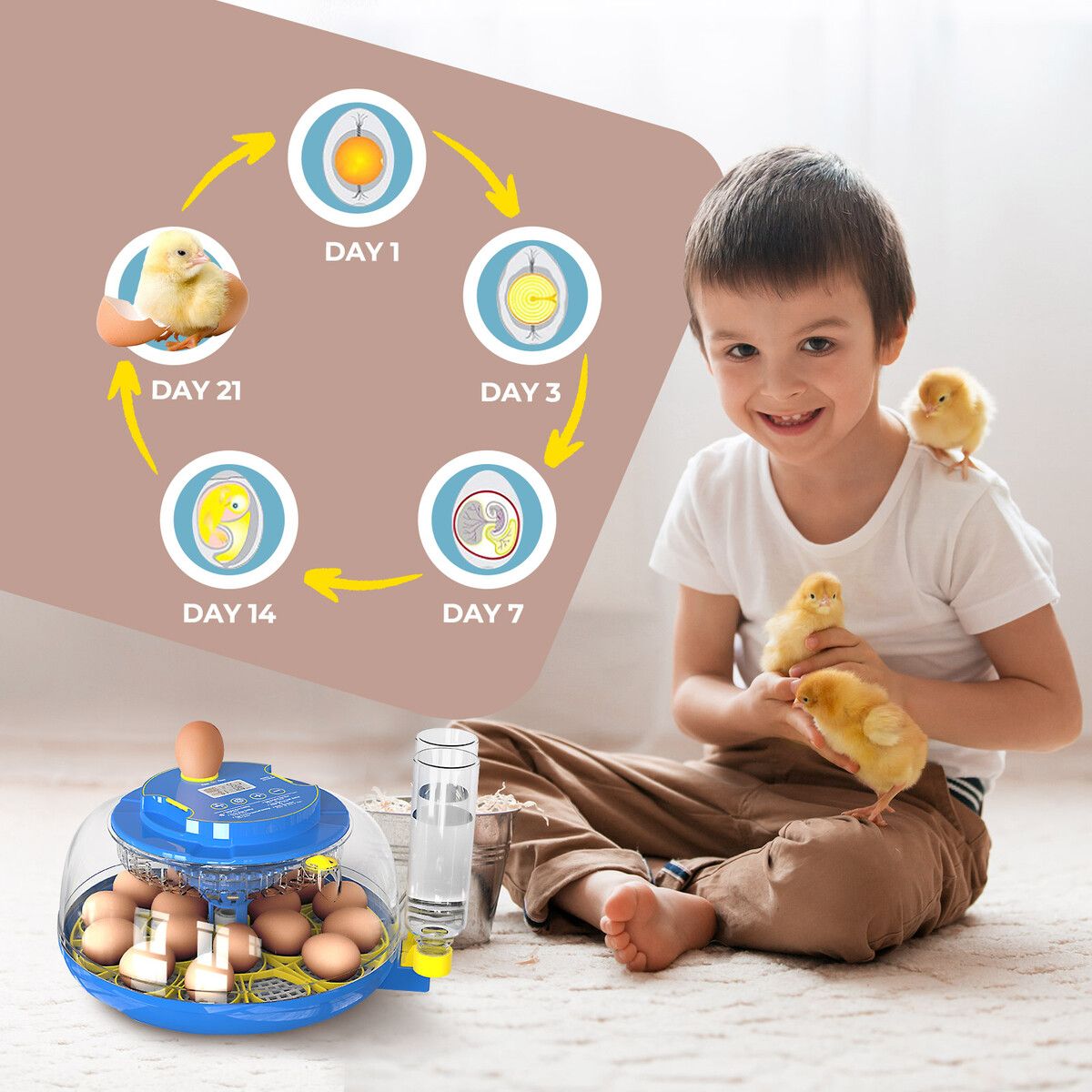 https://img.crazysales.com.au/products_pictures/352/352337_3115266_F.jpg