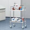 Lab Rolling Cart 2-Shelf Stainless Steel Rolling Cart Lab Serving Cart with Swivel Casters Dental Utility Cart for Clinic Lab Hospital Salon
