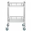 Lab Rolling Cart 2-Shelf Stainless Steel Rolling Cart Lab Serving Cart with Swivel Casters Dental Utility Cart for Clinic Lab Hospital Salon