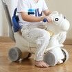 4 in 1 Rocking Horse for Toddlers 1-3 Years Baby Rocking Horse with Detachable Balance Board Push Handle and 4 Smooth Wheels Support up to 80 lbs HDPE