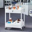 Lab Cart 2 Tiers Stainless Steel Utility Cart Medical Cart with 2 Drawers Rolling Lab Cart White Paint Serving Cart with Swivel Casters for Laboratory Hospital Dental Salon and Beauty