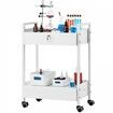 Lab Cart 2 Tiers Stainless Steel Utility Cart Medical Cart with 2 Drawers Rolling Lab Cart White Paint Serving Cart with Swivel Casters for Laboratory Hospital Dental Salon and Beauty