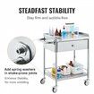 VEVOR Medical Cart 2 Layers Stainless Steel Cart 100 kg Weight Capacity Lab Utility Cart with 360° Silent Wheels and a Drawer for Lab Clinic Kitchen Salon