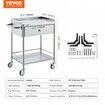 VEVOR Medical Cart 2 Layers Stainless Steel Cart 100 kg Weight Capacity Lab Utility Cart with 360° Silent Wheels and a Drawer for Lab Clinic Kitchen Salon