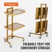 2 Tiers Stainless Steel Lab Carts with 2 Trays & 4 Silent Wheels Golden