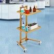 2 Tiers Stainless Steel Lab Carts with 2 Trays & 4 Silent Wheels Golden