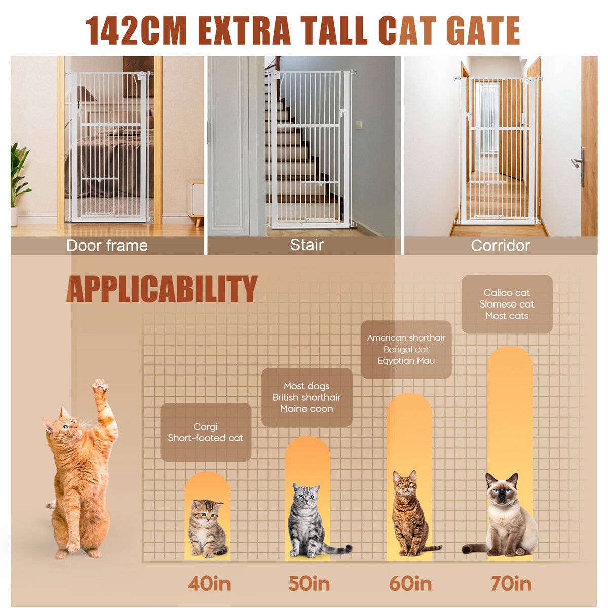https://img.crazysales.com.au/products_pictures/353/353578_3127977_F.jpg