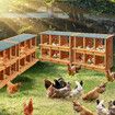 2 Layer Wood Chicken Nesting Box 6 Hole Chook Hen Laying Boxes Duck Poultry Coop House Egg Nest Hatch Perch Brooder Breeding Waterproof Lid