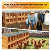 2 Layer Wood Chicken Nesting Box 6 Hole Chook Hen Laying Boxes Duck Poultry Coop House Egg Nest Hatch Perch Brooder Breeding Waterproof Lid