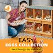 2 Layer Wood Chicken Nesting Box 6 Hole Chook Hen Laying Boxes Duck Poultry Coop House Egg Nest Hatch Perch Brooder Breeding Waterproof Lid