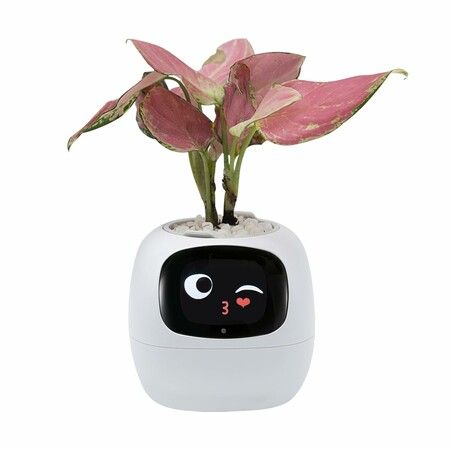 Smart Pet Planter Robot Guidance on Plant Care with Emoji,Adorable Plant Companion with Rich Gesture Interaction,Neat Desk Setup Gift (White)
