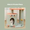 Floofi 143cm  Cat Condo Cat Tree Green