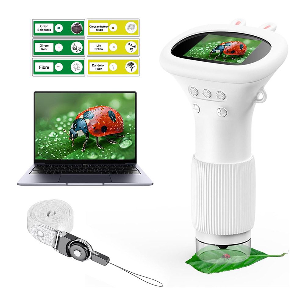 Microscope for Kids, Portable Mini USB Microscope Camera, Science Education Fun Birthday Gifts Toys for Children (White)