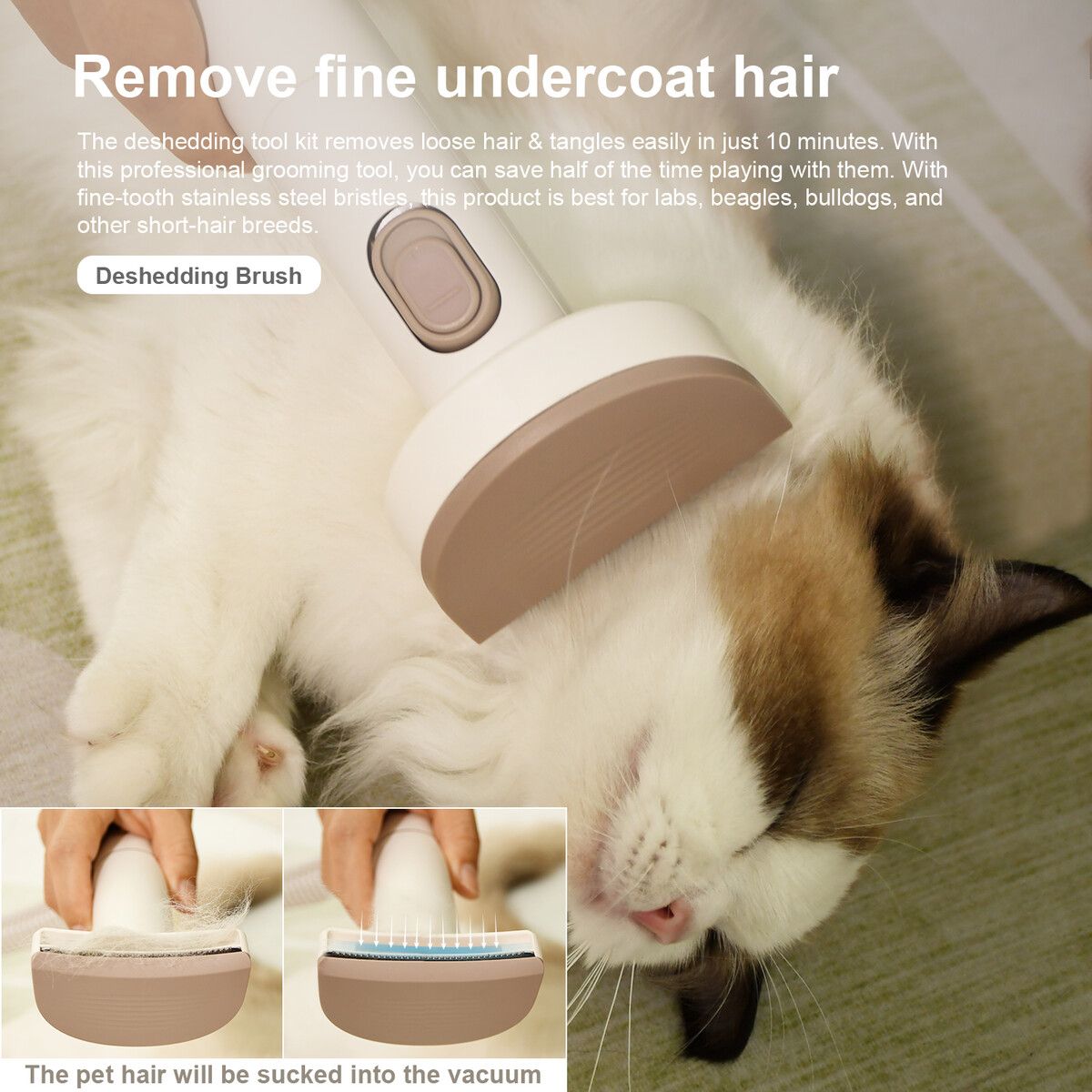 https://img.crazysales.com.au/products_pictures/354/354187_3136613_F.jpg