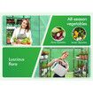 ALFORDSON Greenhouse Gabled Shed Walk-in Green House 8 Shelves Cover 1.45x1.45x2m