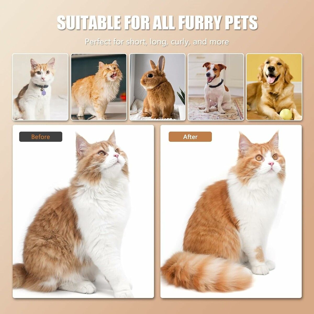 https://img.crazysales.com.au/products_pictures/354/354680_3143660_F.jpg