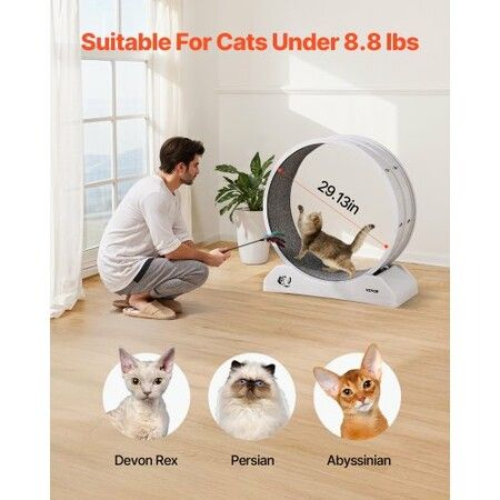 https://img.crazysales.com.au/products_pictures/355/355225_3148249_F.jpg