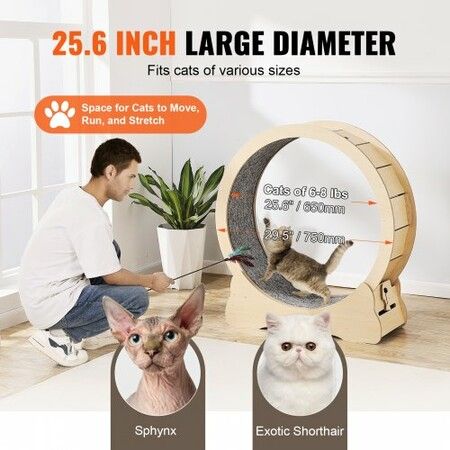 https://img.crazysales.com.au/products_pictures/355/355230_3148292_F.jpg