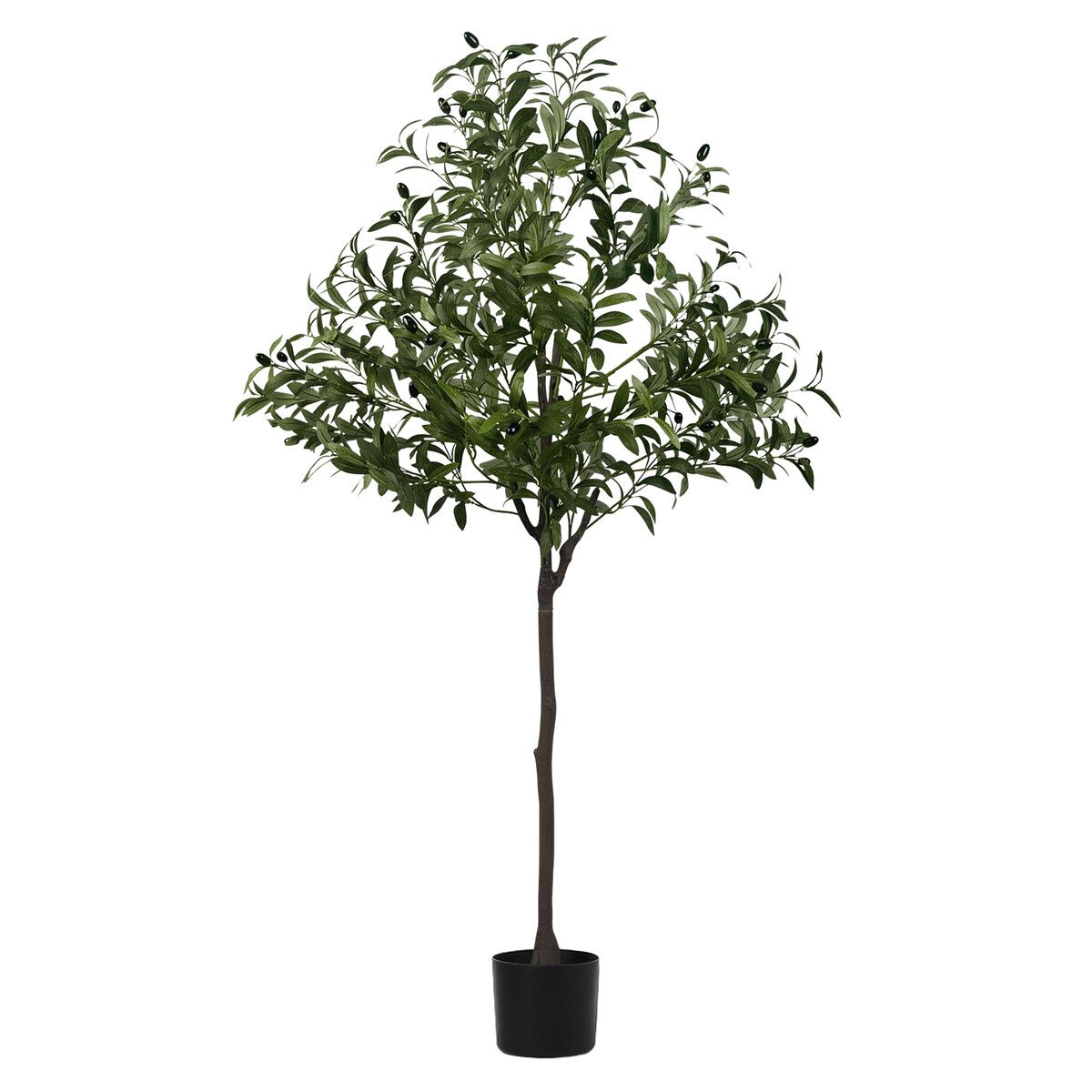 https://img.crazysales.com.au/products_pictures/355/355471_3150785_F.jpg