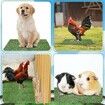 6Pcs Chicken Nesting Pads Artificial Grass Mat Chickens Nesting Box Pads Rug Carpet Synthetic Turf Mat Pet Training Grass for Egg Chicken Coop