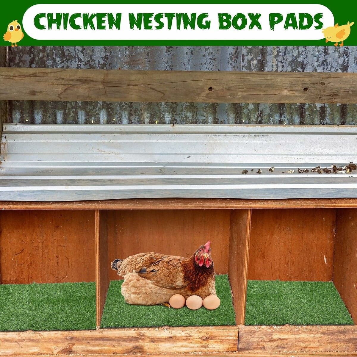 https://img.crazysales.com.au/products_pictures/355/355512_3151233_F.jpg