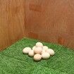 6Pcs Chicken Nesting Pads Artificial Grass Mat Chickens Nesting Box Pads Rug Carpet Synthetic Turf Mat Pet Training Grass for Egg Chicken Coop