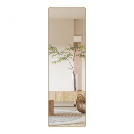 120cm Wall Mounted Full Length Mirror Door Hanging