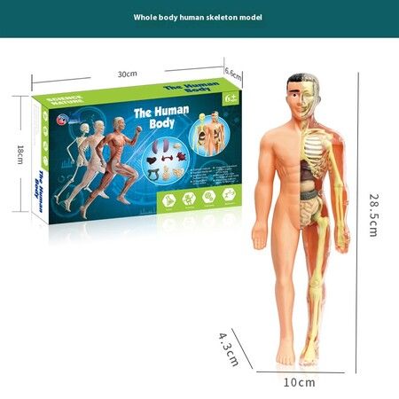 https://img.crazysales.com.au/products_pictures/356/356051_3157907_F.jpg