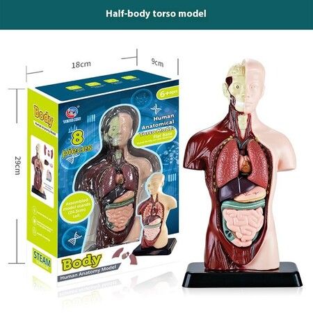 https://img.crazysales.com.au/products_pictures/356/356055_3157932_F.jpg