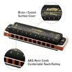Diatonic Harmonica Key of C 10 Holes 20 Tones 008K Blues Harp Mouth Organ Harmonica with Black Cover
