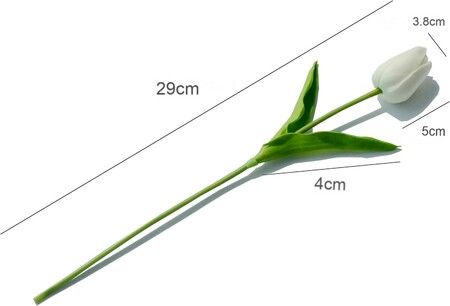 https://img.crazysales.com.au/products_pictures/356/356501_3160711_F.jpg