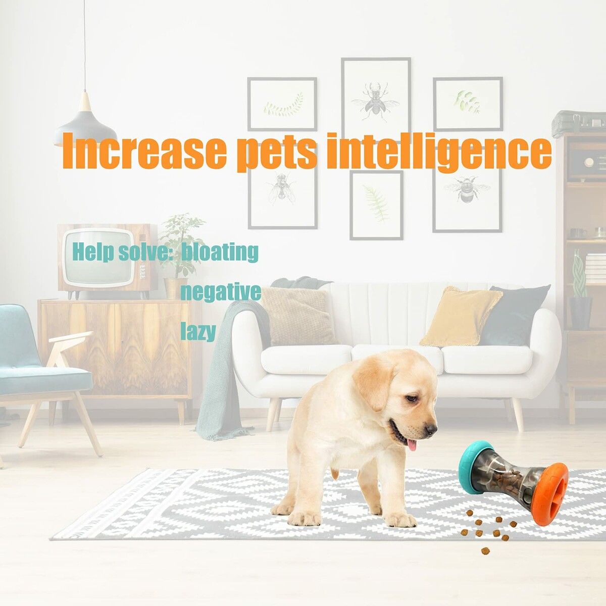 https://img.crazysales.com.au/products_pictures/356/356750_3163742_F.jpg