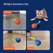 Speedy Ball with Tail Cat Toy,Smart Interactive Cat Ball,Automatic Cat Rolling Ball Enrichment Toy,Electric Self Moving Toy,Electronic Rollie Pet Chase