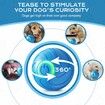 Vibrating Dog Ball,Moving Dog Ball,Shaky Ball Toy for Dogs,Interactive Bouncing Ball,Automatic Moving Dog Toy Ball,Shaking Dog Ball (2pc)